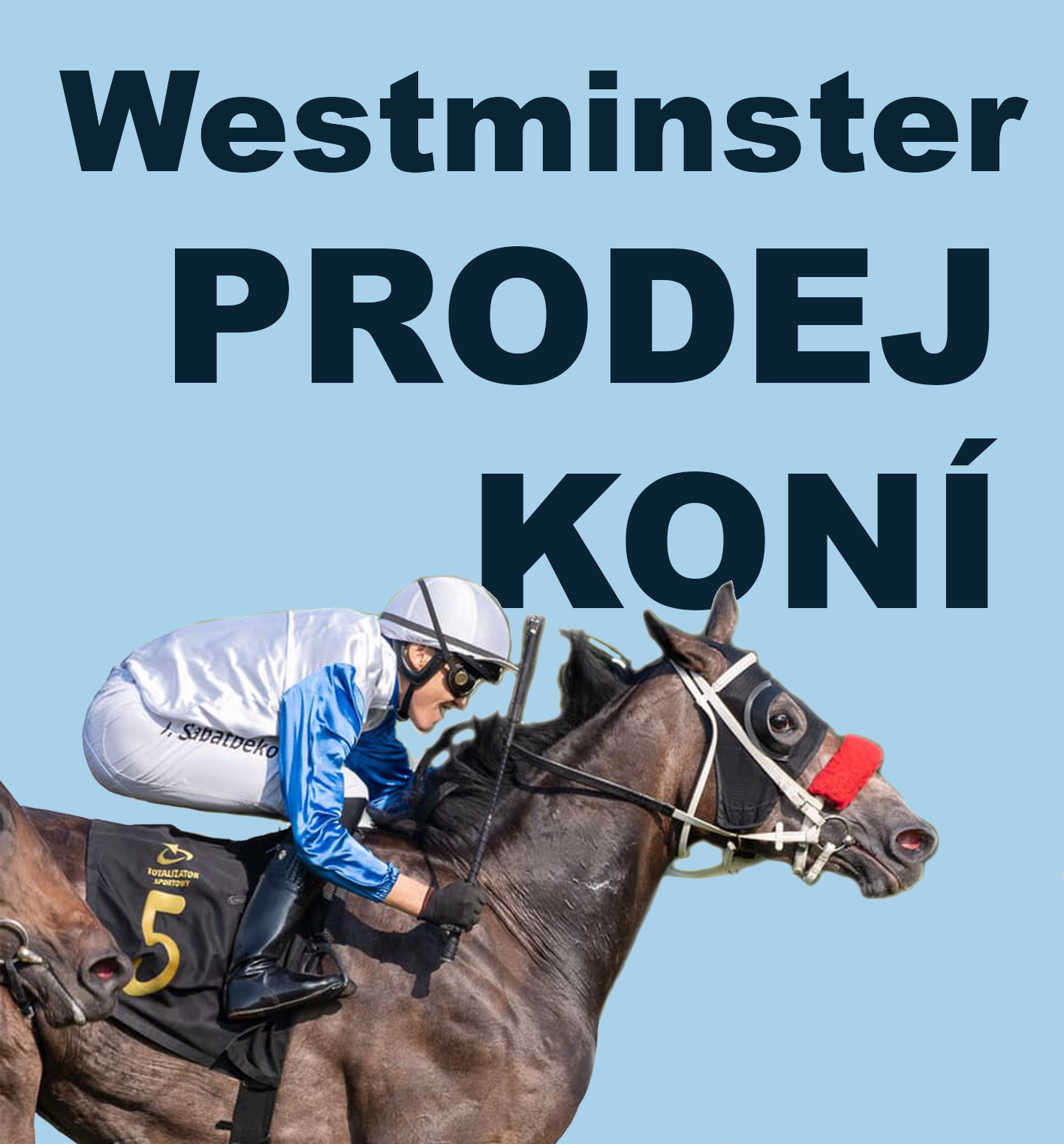 westminster prodej 2022