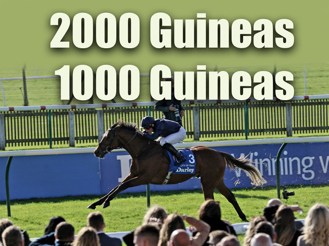 2000 Guineas, 1000 Guineas – rozbory dostihů