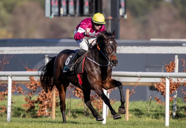 Champion Hurdle: Apple’s Jade vyzívá Buveur D’Air