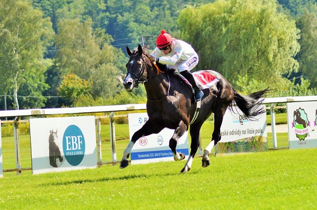 Očekávaný duel se nekonal, Black Canyon nenašel soupeře (analýza)