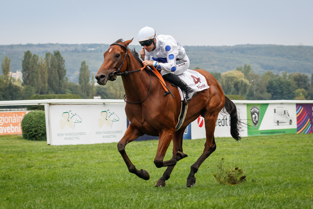 St Leger – trendy posledních 10 ročníků 