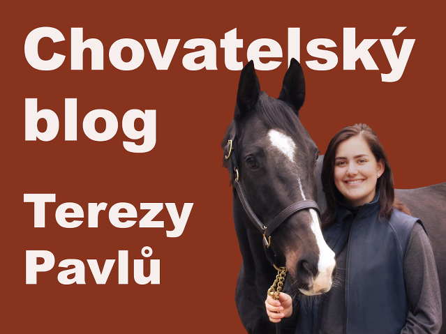 O mé účasti na druhé části programu Godolphin Flying Start, Newmarket