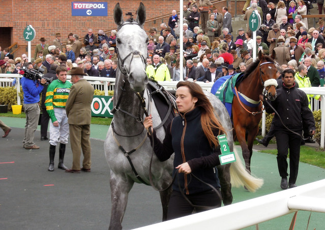 Bristol De Mai + Haydock = VL