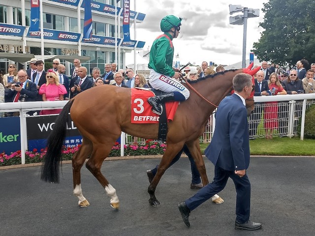 Mezinárodní klasifikaci vévodí Calandagan, mezi světovou elitou také Jawwal