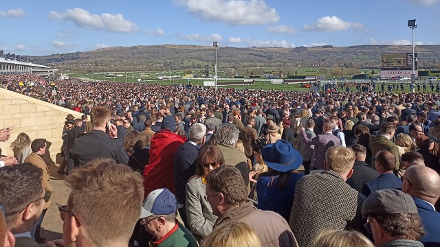 Cheltenham nabídne trialy na festival