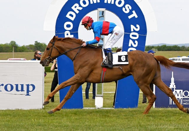 Cote Jardin se představí v Listed, do Deauville míří i další jedničkoví koně