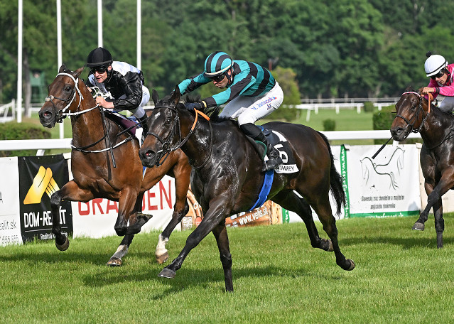 Turf Gala – rozbory dostihů