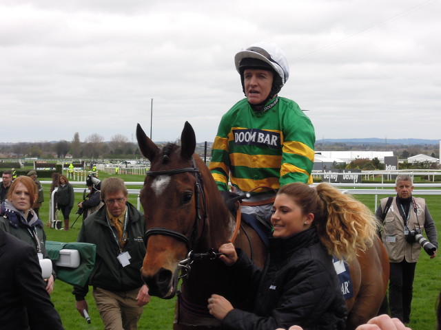 Defi Du Seuil favoritem Tingle Creek (rozbory dostihů)