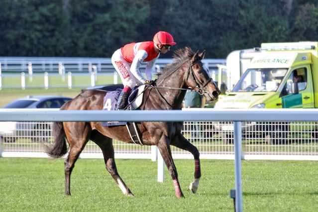 Glorious Goodwood pokračuje i s japonskou obhájkyní