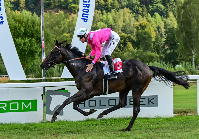 Pekelně rychlý Devil In Pink vládne dvouletým (analýza)