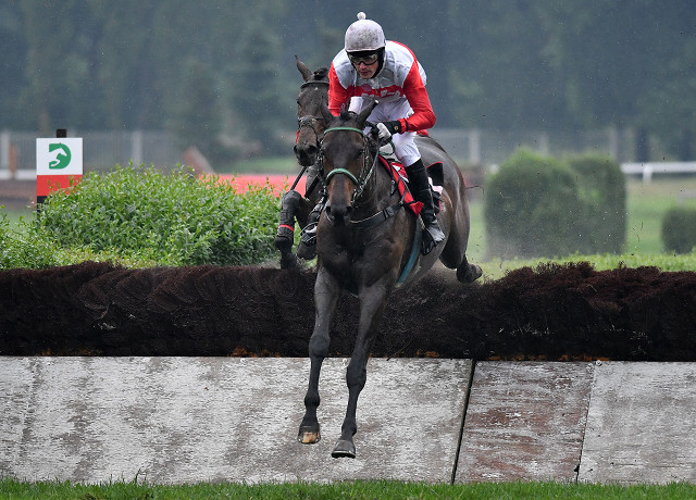 Steeplechase místo krosů byla jiná disciplína