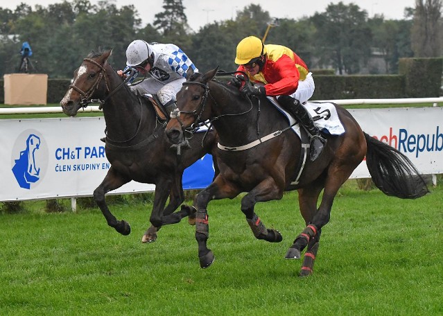 Pozvánka: První kvalifikace na Velkou pardubickou