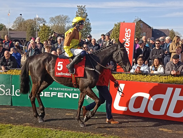 Cheltenham Festival vrcholí Gold Cupem