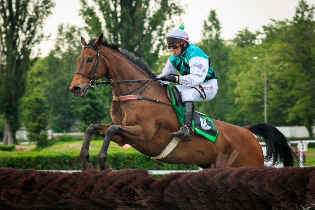 Hegnus nepůjde Velkou pardubickou 