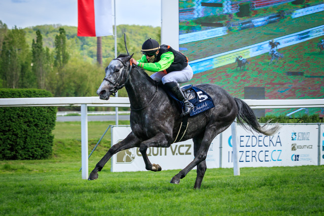 Pozvánka: Tattersalls Mile