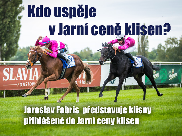 Kdo uspěje v Jarní ceně klisen? (rozbor)