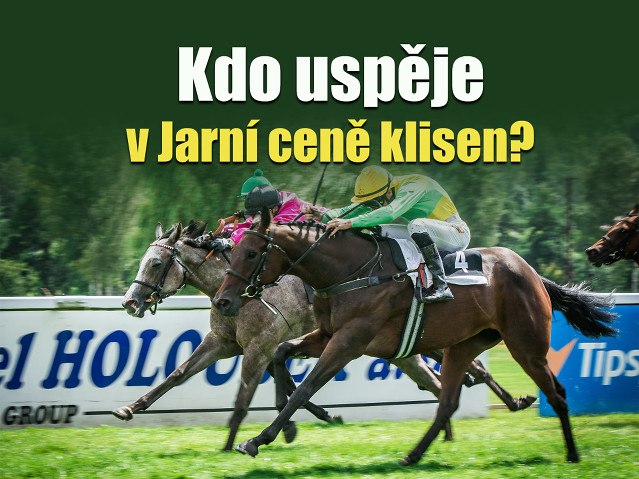Kdo uspěje v Jarní ceně klisen? (rozbor)