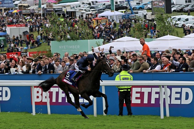 Ohlédnutí za návštěvou Derby Festivalu v Epsomu