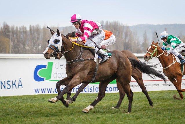 Master Of Gold chce hattrick v „Gombě“