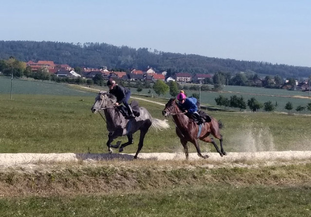 VIDEO: Nagano Gold se připravuje na Arc