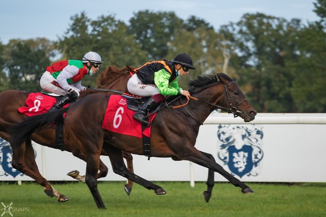 Nagano Gold zahajuje se Soumillonem v Longchamp