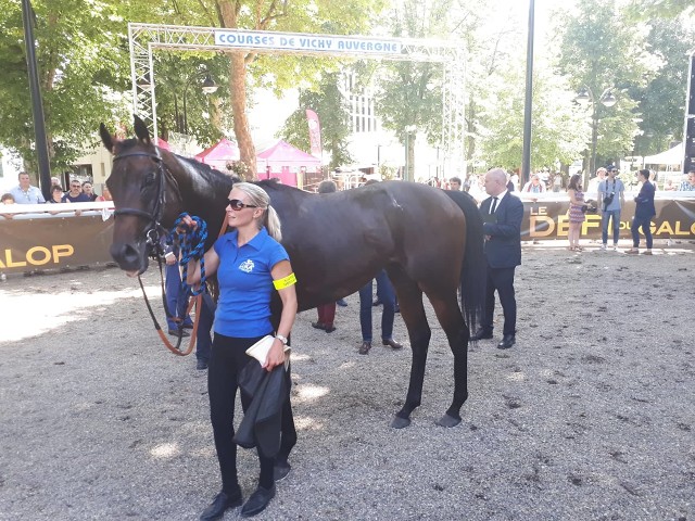 Nagano Gold smetl soupeře, v plánu je Royal Ascot i „Oblouk“