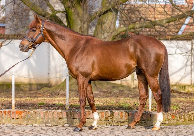 Night Tornado třetím rokem ve Střelicích, letos bude mít první ročky