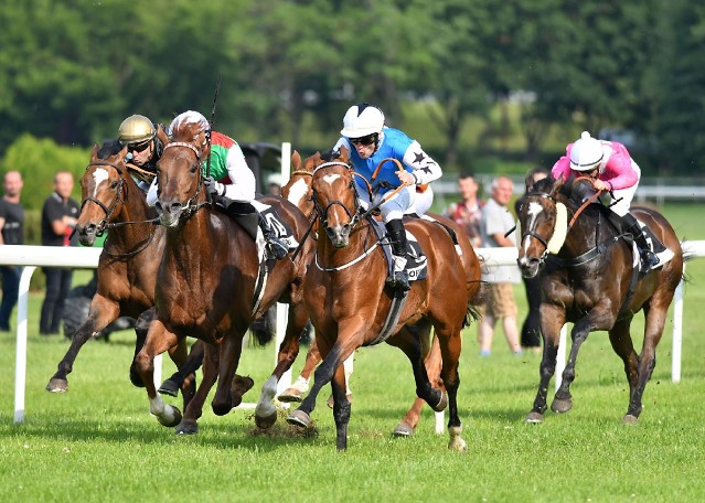 Turf Gala – rozbory dostihů