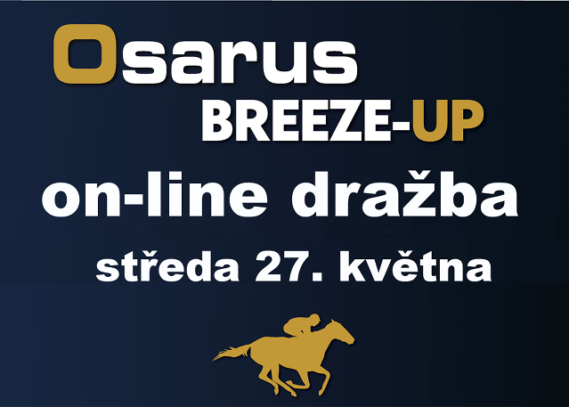 Sledujte první evropskou online dražbu