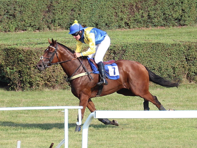 Rozbor Závěrečné cross country v Pardubicích