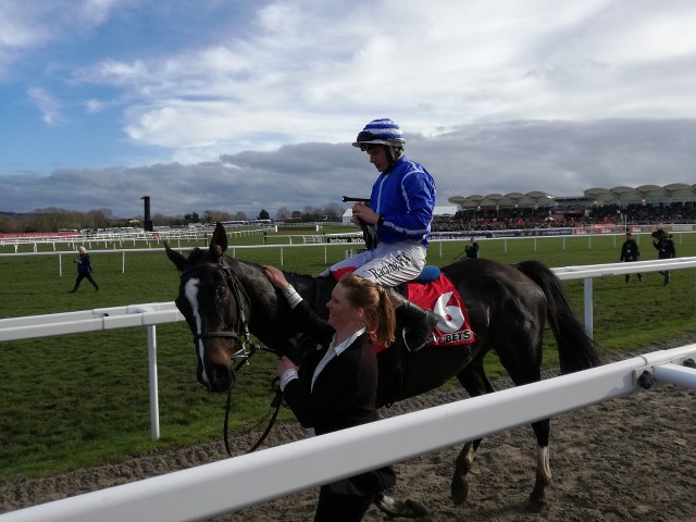 Penhill nebude obhajovat vítězství ve Stayers‘ Hurdle