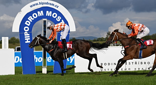 Ponntos zahájí na San Siru cestu na Royal Ascot