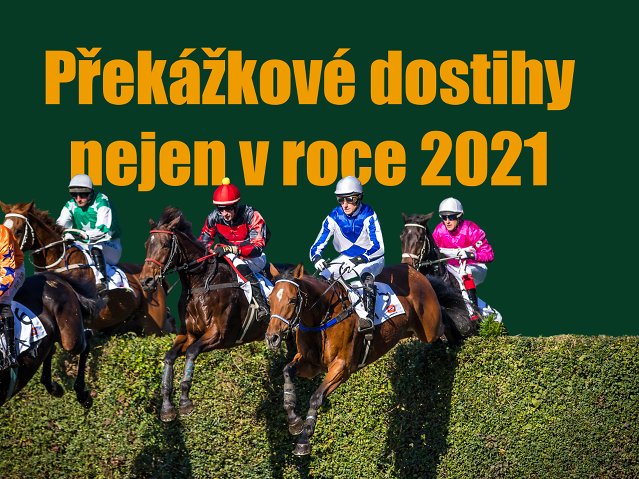 Překážkové dostihy nejen v roce 2021