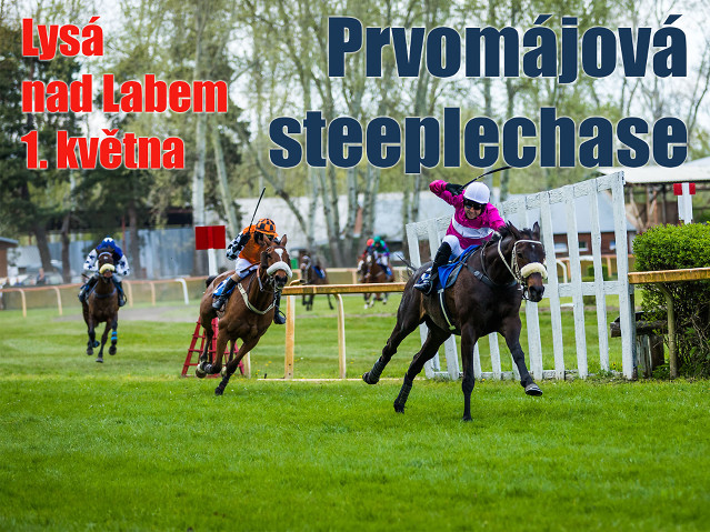 Prvomájová steeplechase – rozbor dostihu