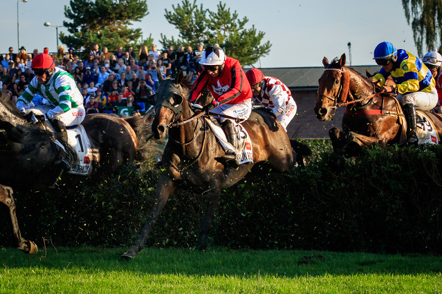 Cheltenhamský kros s pardubickými účastníky