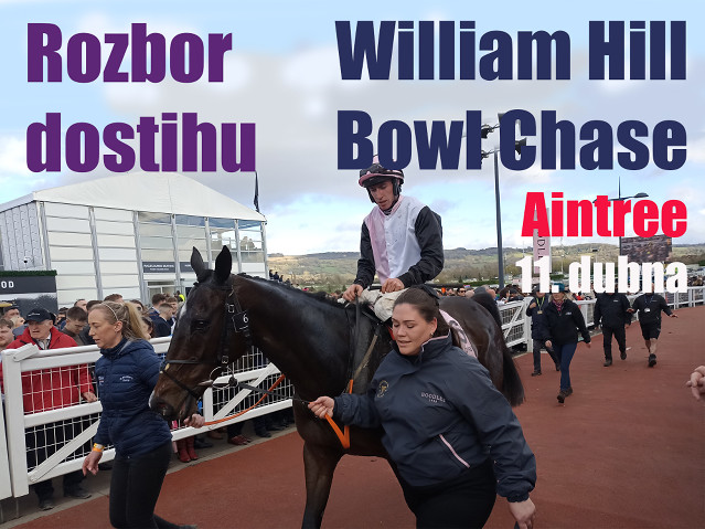 Bowl Chase – rozbor dostihu