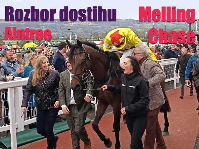 Melling Chase - rozbor dostihu