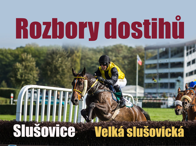 Rozbory dostihů: Slušovice - 28. 10. - Velká slušovická steeplechase