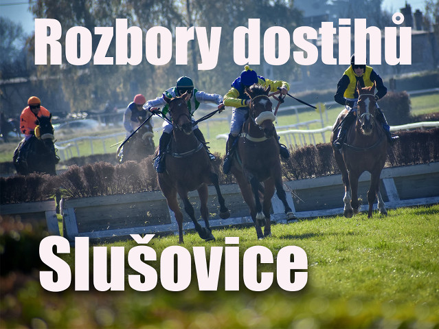 Rozbory dostihů: Slušovice - 11. 5.