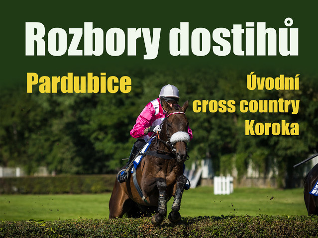 Rozbory dostihů: Pardubice - 8. 5. - Úvodní cross country Koroka