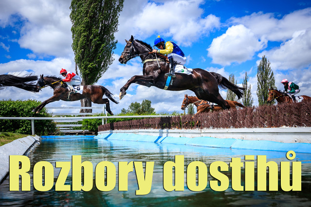 Rozbory dostihů: Pardubice - 8. 10. - Křišťálový pohár a Stříbrná trofej