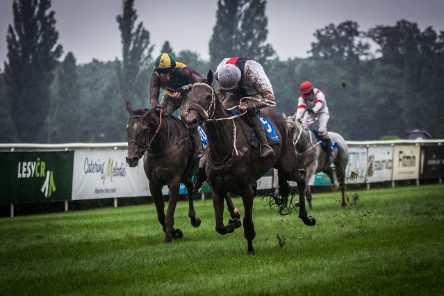 Ve Velké pardubické vyzvou předchozí vítěze premianti kvalifikací