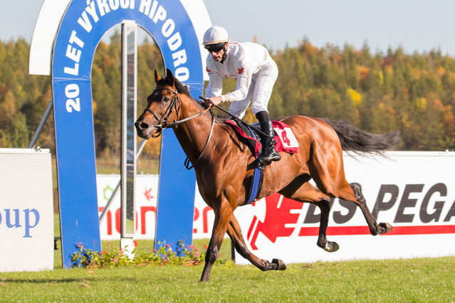 "Zimní favorit" Sagar vstupuje do sezóny