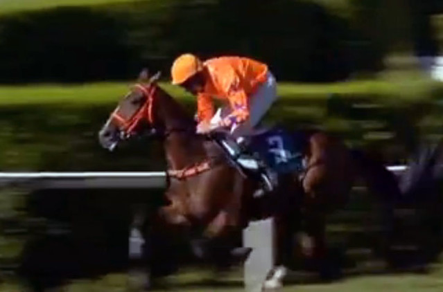 Wroblewski se Santo Cerro do Auteuil