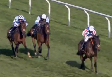 Cheltenham: Special Tiara smazal Douvana
