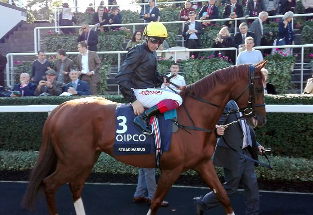 Startuje Glorious Goodwood