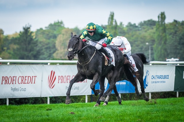 U Tipsportu se na Velkou pardubickou vsadilo 20 milionů