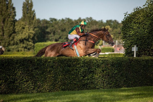 Jak to vidí trenéři před Velkou pardubickou