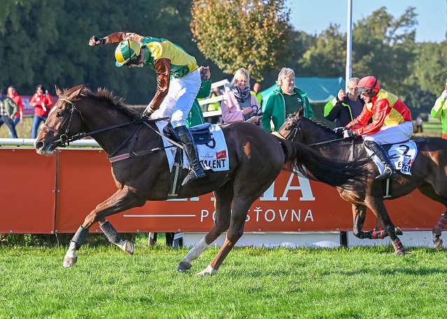 Hrdina Velké pardubické Talent vstupuje do sezóny