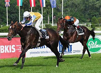 Slovenské derby - Tullamore pro exfederální double